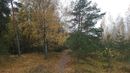 Kuršių Nerija ties Klaipėda