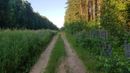 Neravų ratukas
