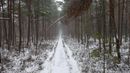 Paežerių takais Varnikų apylinkėse