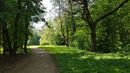 Raguvų dugnais, kalvų keteromis