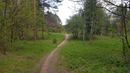 Turniškių takas