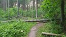 Vanaginė